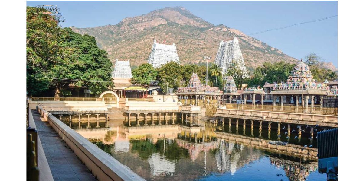 Arunachalam Temple Darshan Timings & Booking Guide