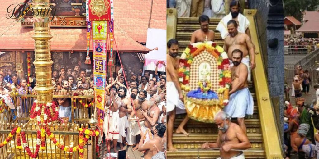 Booking Timeline and Availability 
