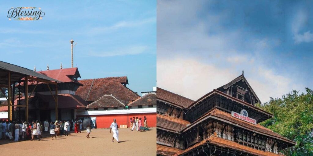 Detailed Weather Guide & Season Planning