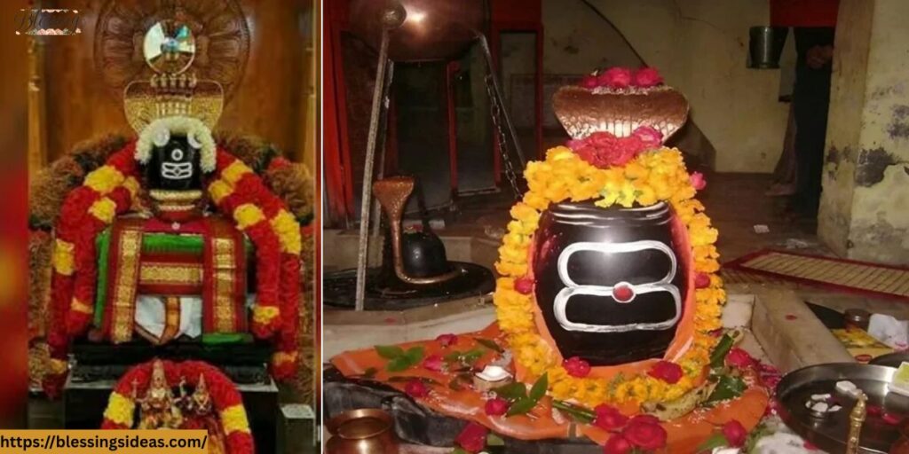 Special & VIP Darshan Timings