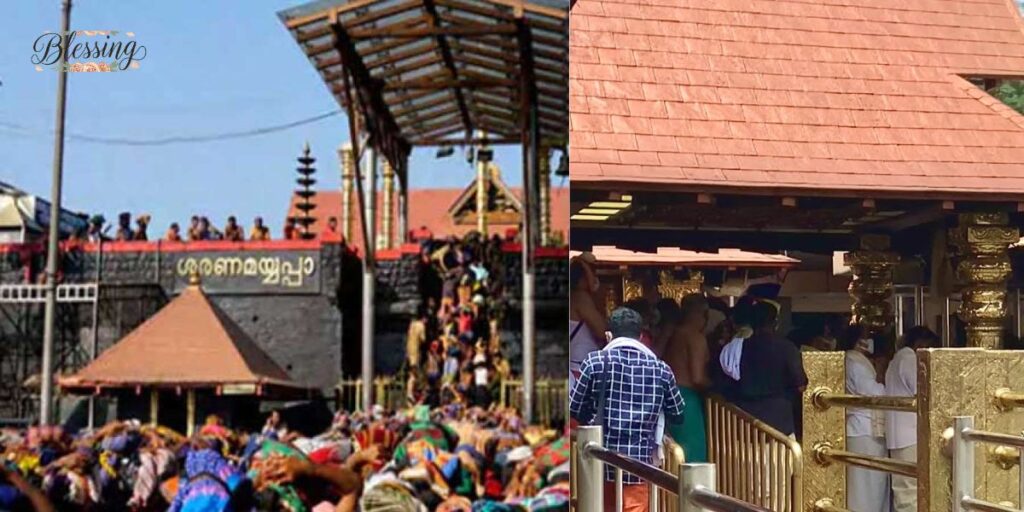 Understanding Different Guest House Types 