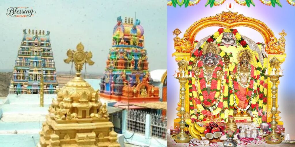 Understanding Different Sevas