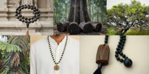 Karungali Mala Made of Which Tree? Complete Ebony Wood Guide