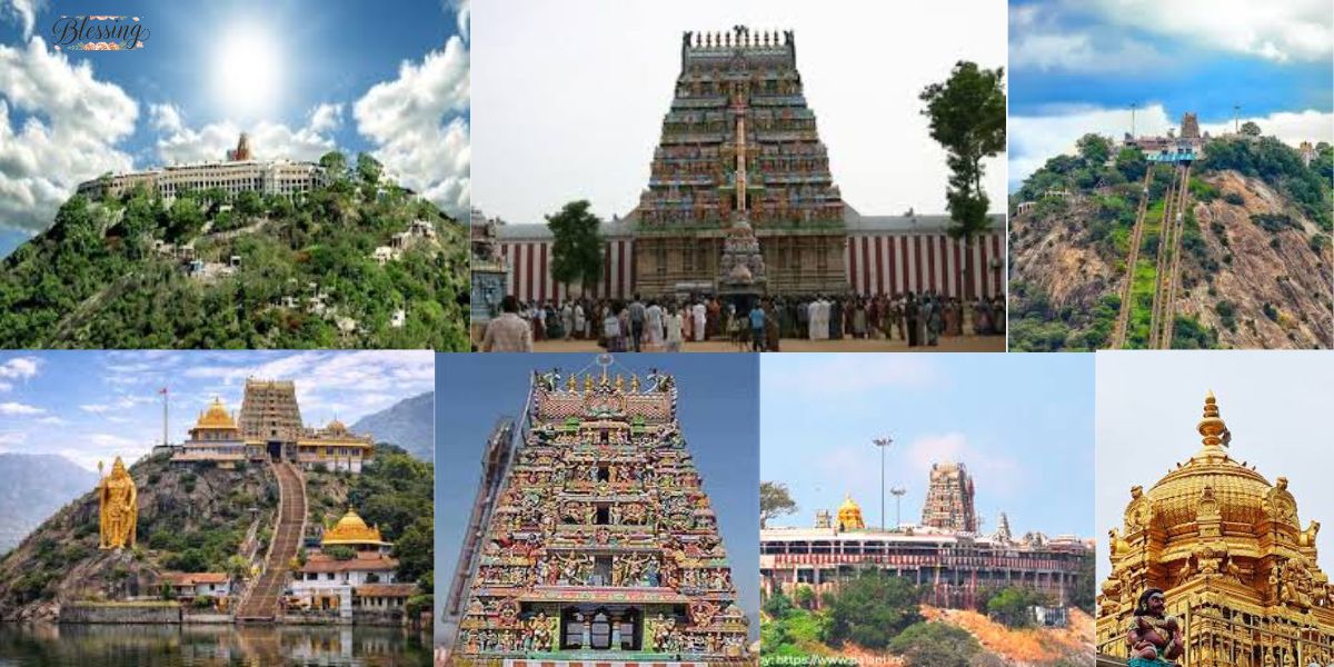 Palani Temple Timings 2026: Beat the Crowd Early